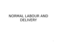 Labour &Delivery.pptx